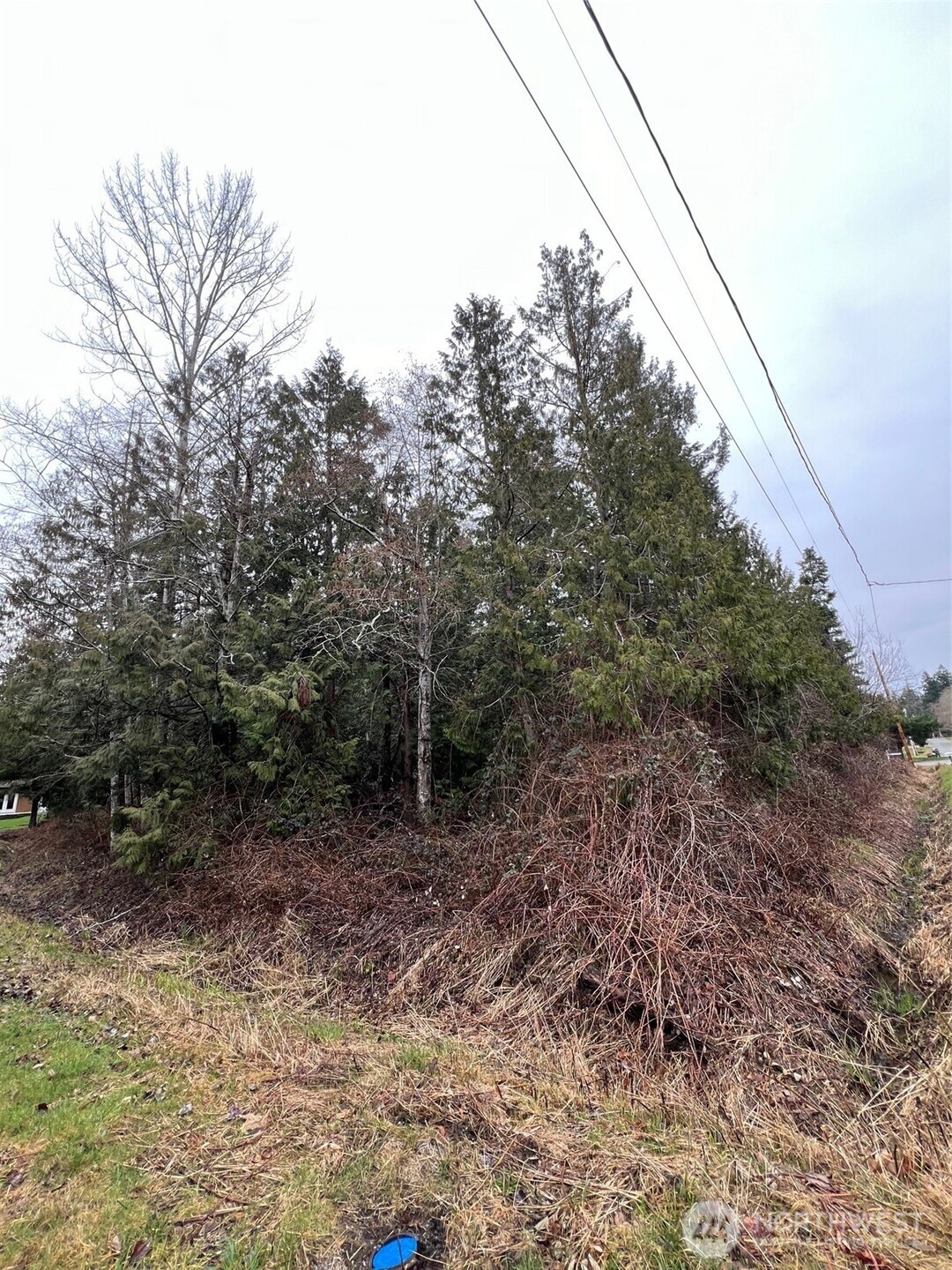 0 Lot 6 Rex Street Property Photo 3