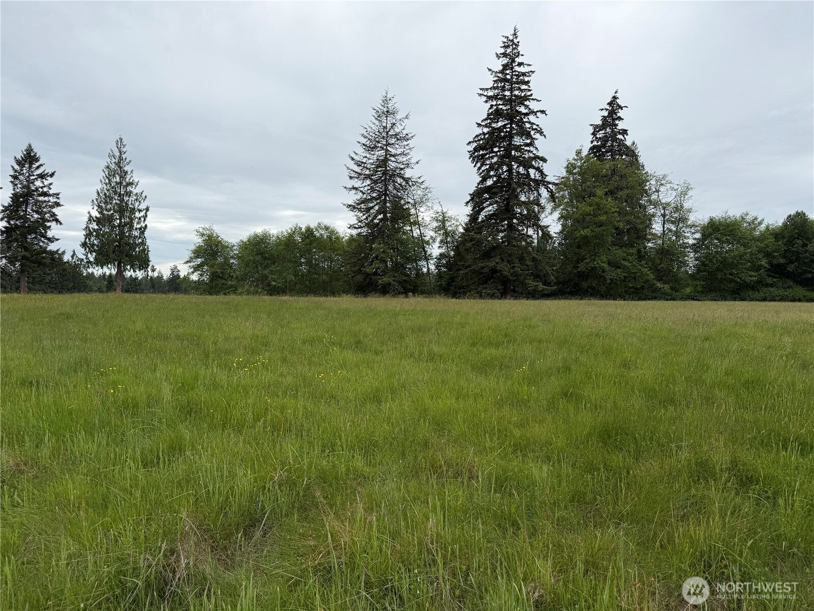 28915 3rd Avenue Property Photo 2