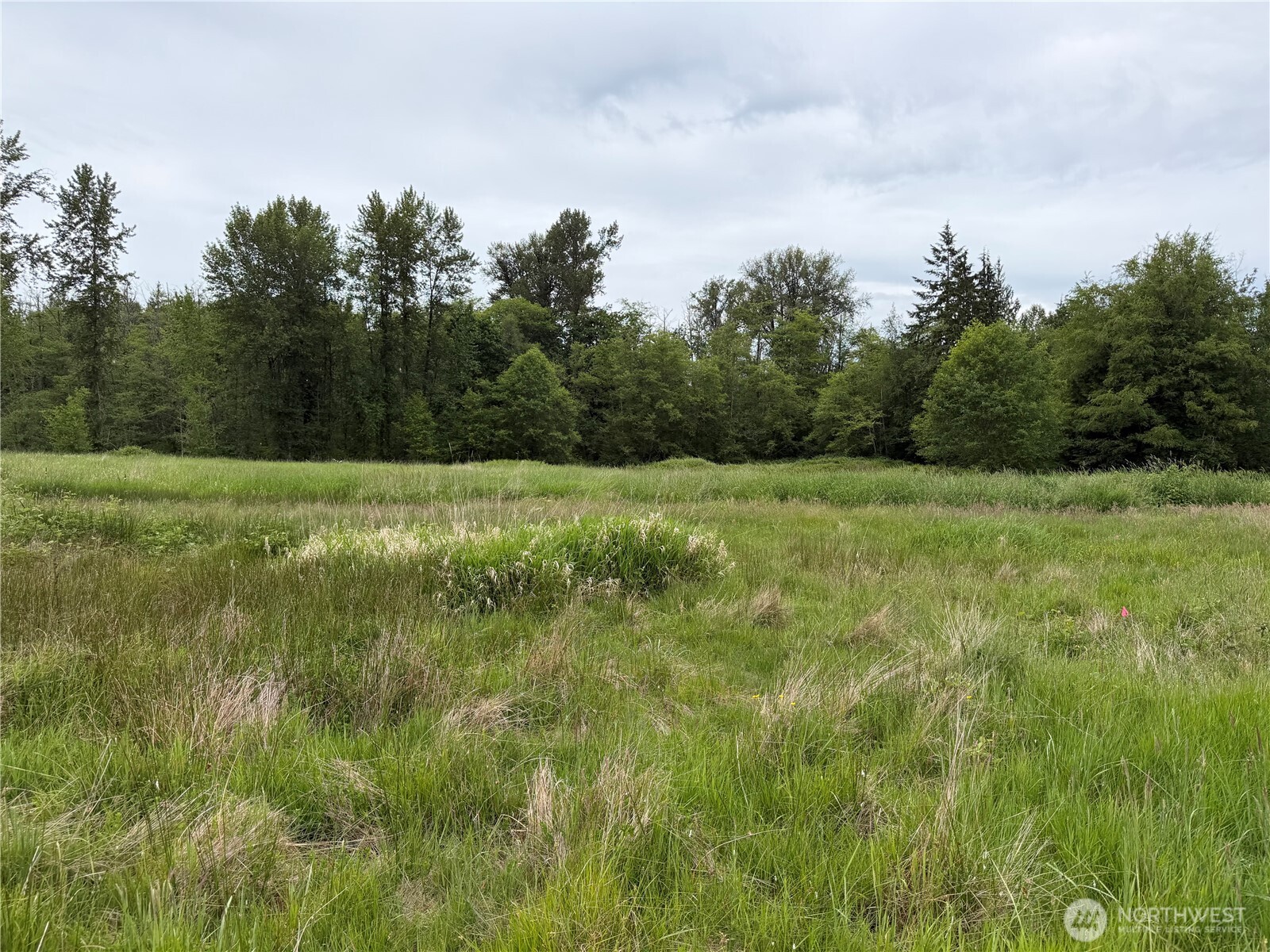 28915 3rd Avenue Property Photo 14