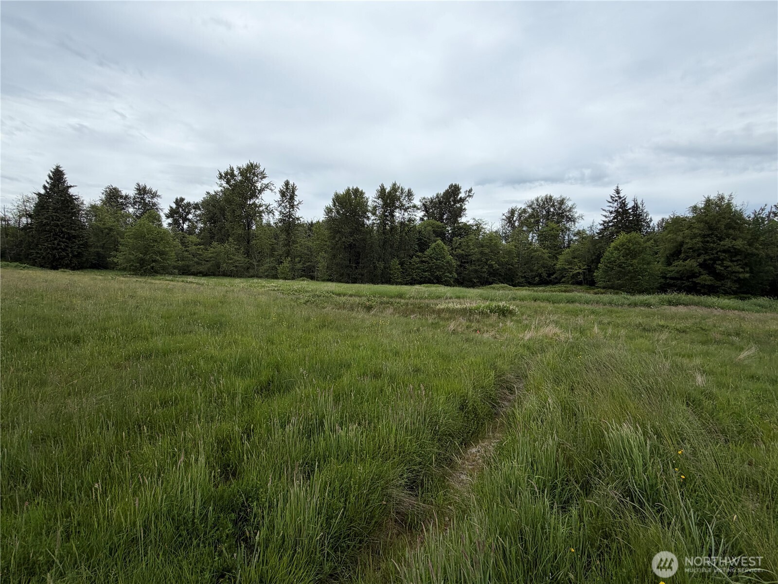 28915 3rd Avenue Property Photo 16