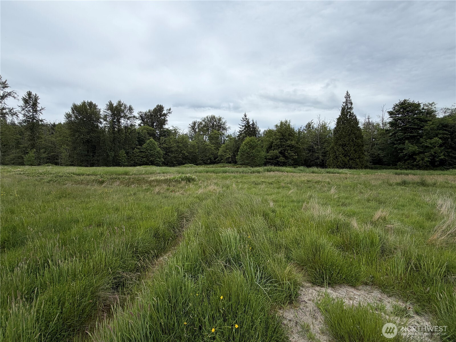 28915 3rd Avenue Property Photo 17
