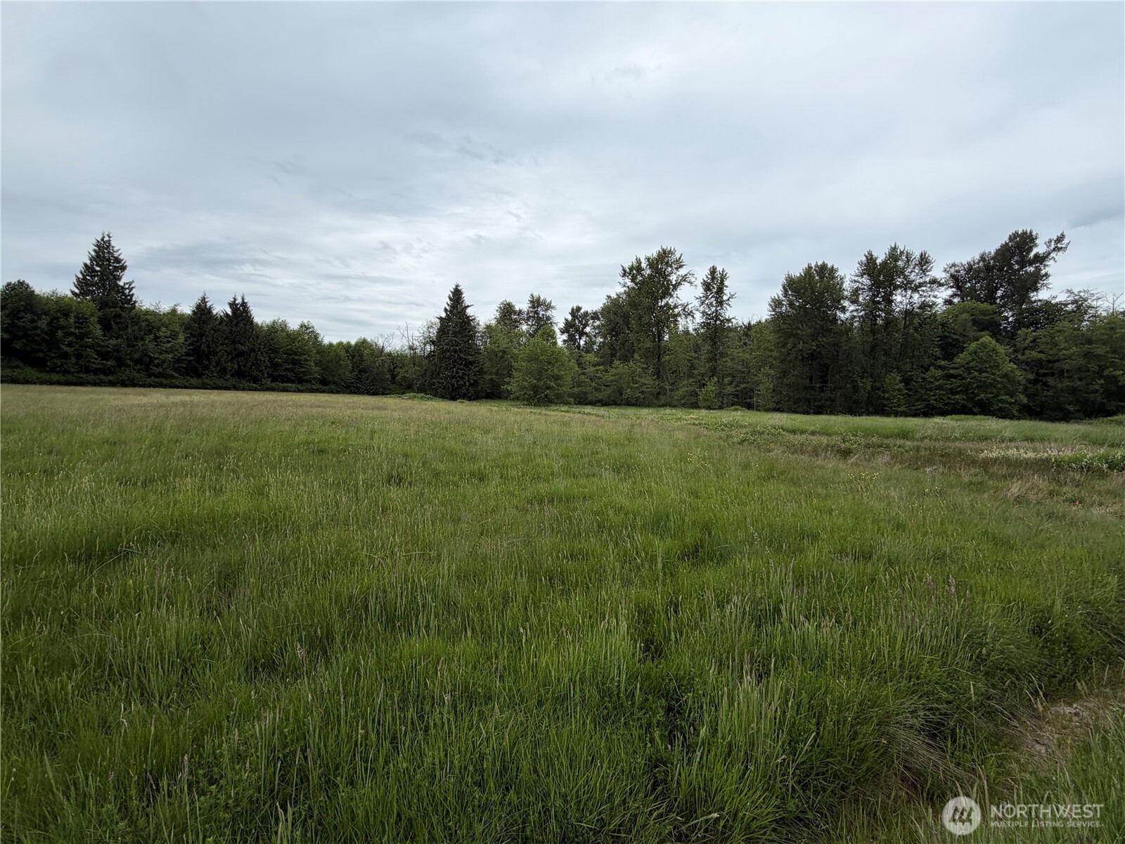 28915 3rd Avenue Property Photo 18