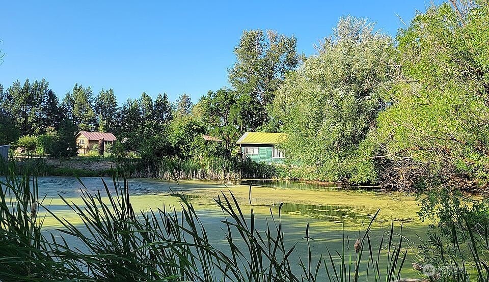 133 Woodhouse Loop Property Photo 6