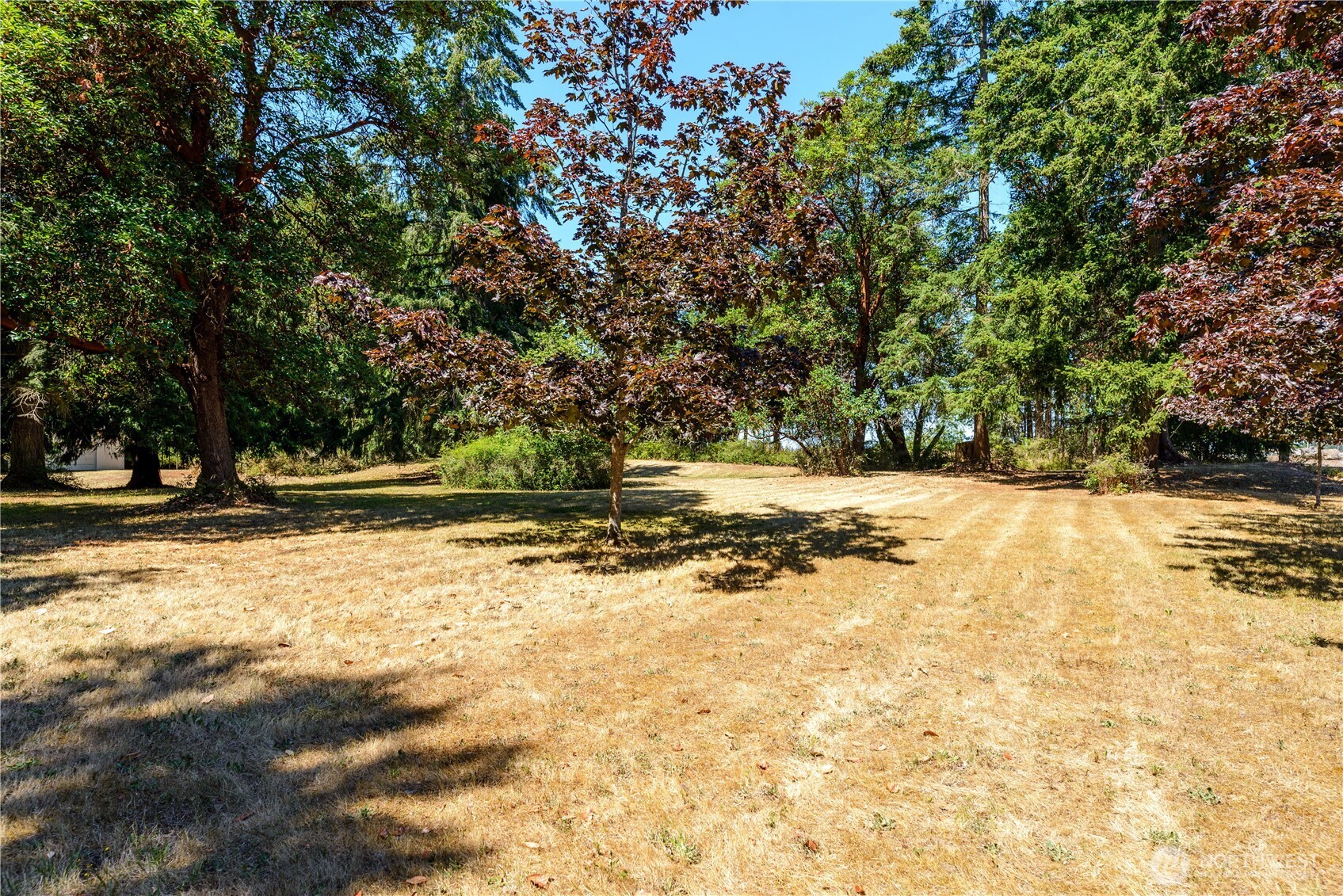 465 Kirner Road Property Photo 38