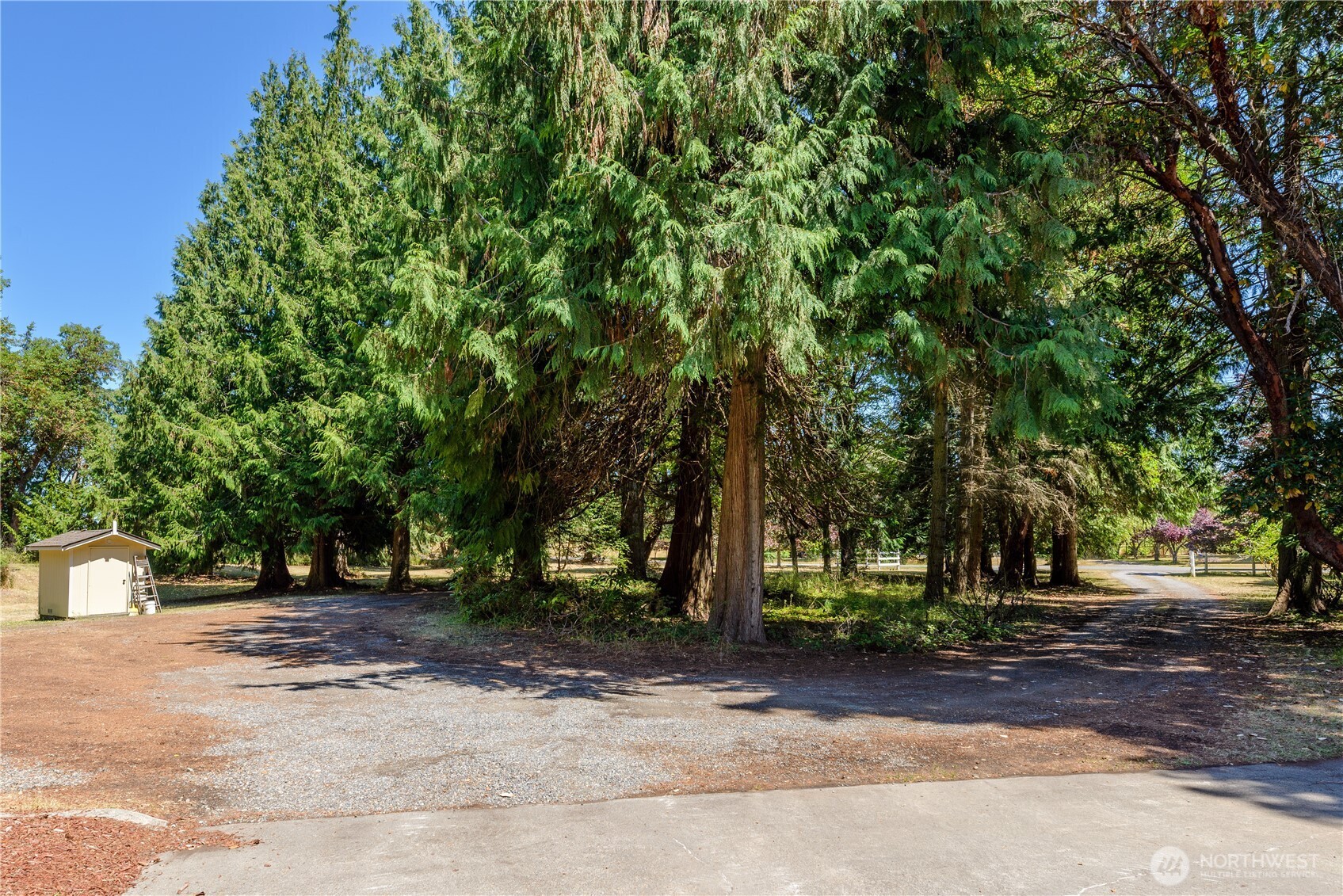 465 Kirner Road Property Photo 39