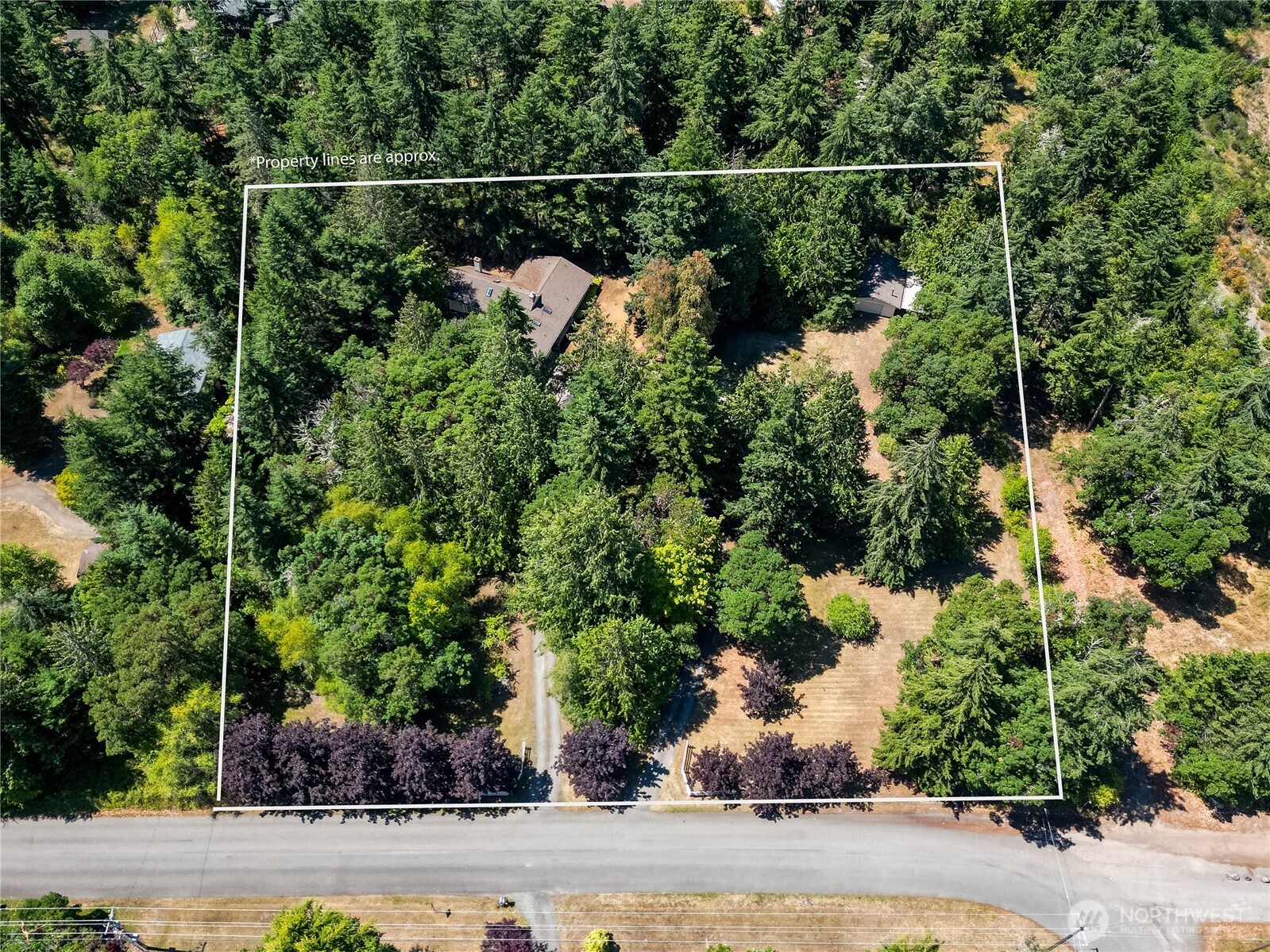 465 Kirner Road Property Photo 40