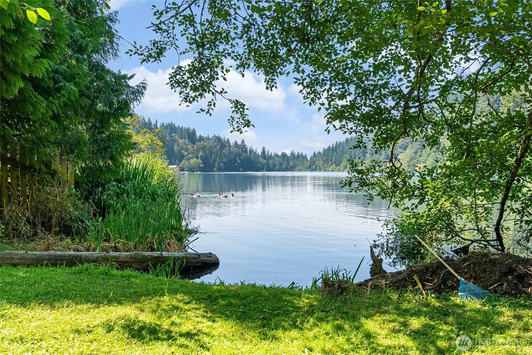 1823 Emerald Lake Way Property Photo 39