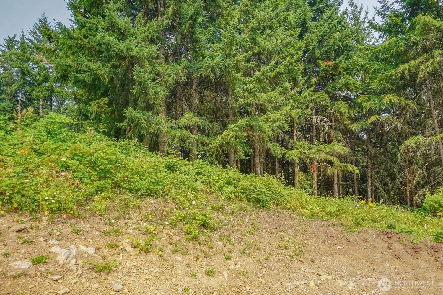 324 Champion Road Property Photo 37