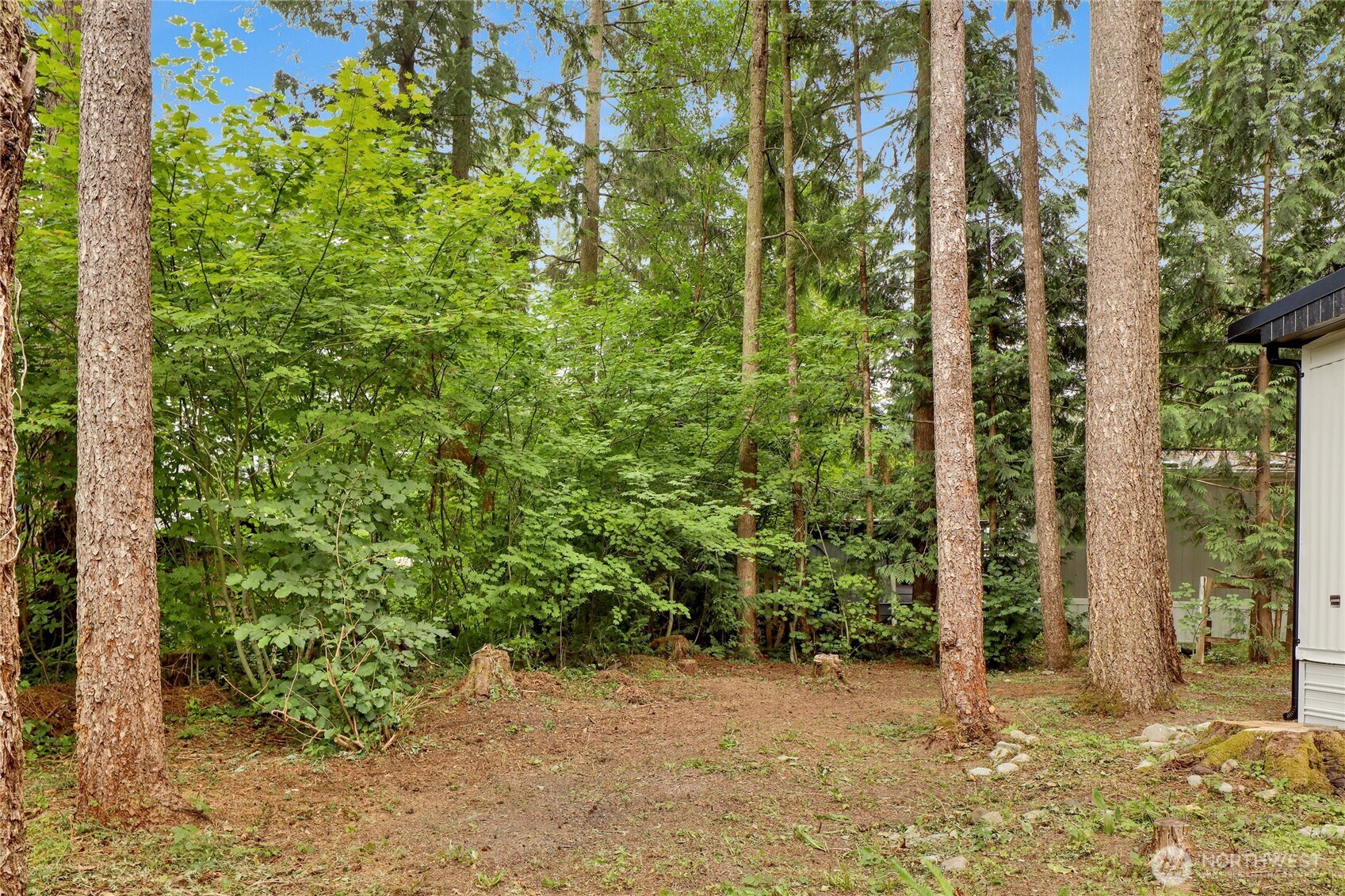 8558 Golden Valley Drive Property Photo 5