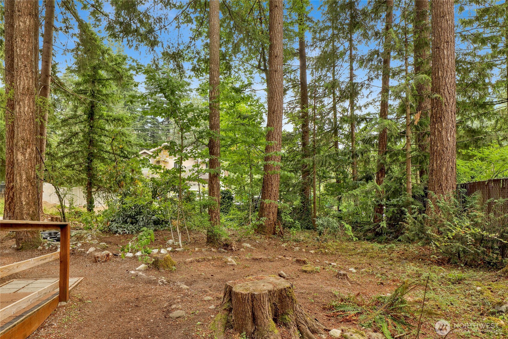 8558 Golden Valley Drive Property Photo 6