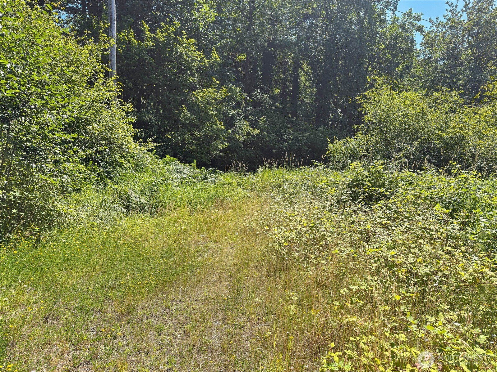 0 Renton Issaquah Road Property Photo 2