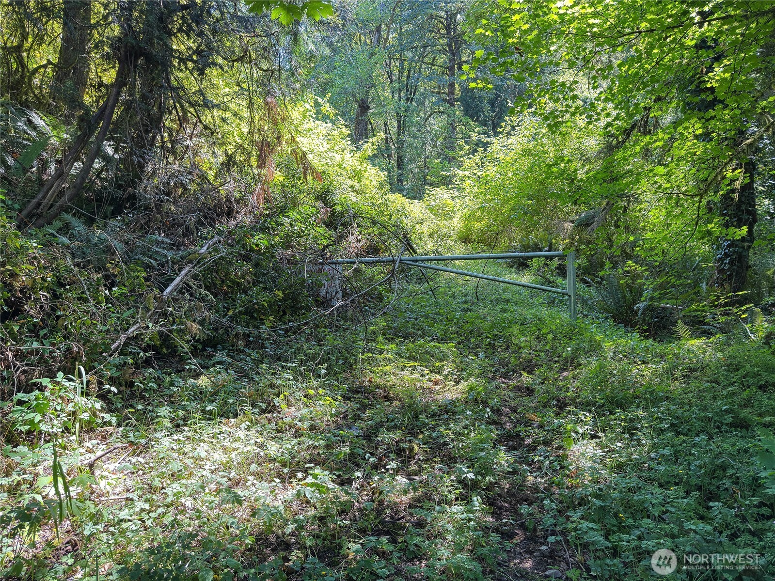 0 Renton Issaquah Road Property Photo 3