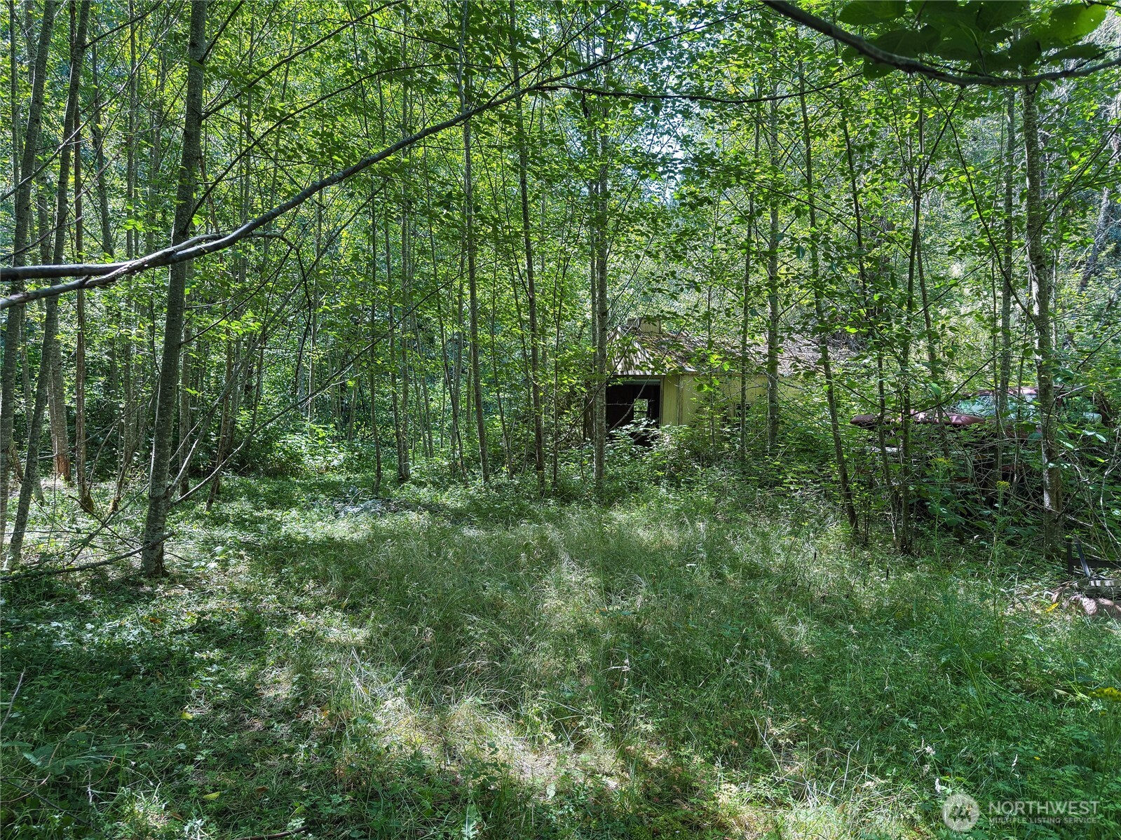 0 Renton Issaquah Road Property Photo 5