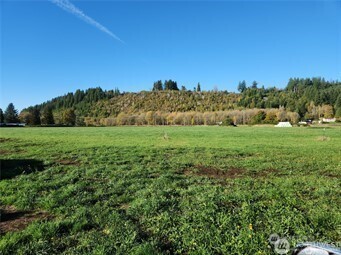 222 W Mossyrock Property Photo 1