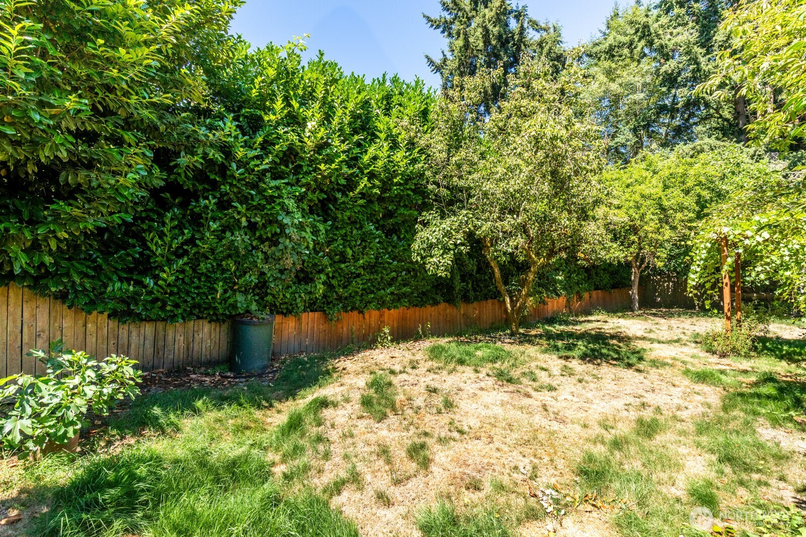 30633 4th Avenue Property Photo 24