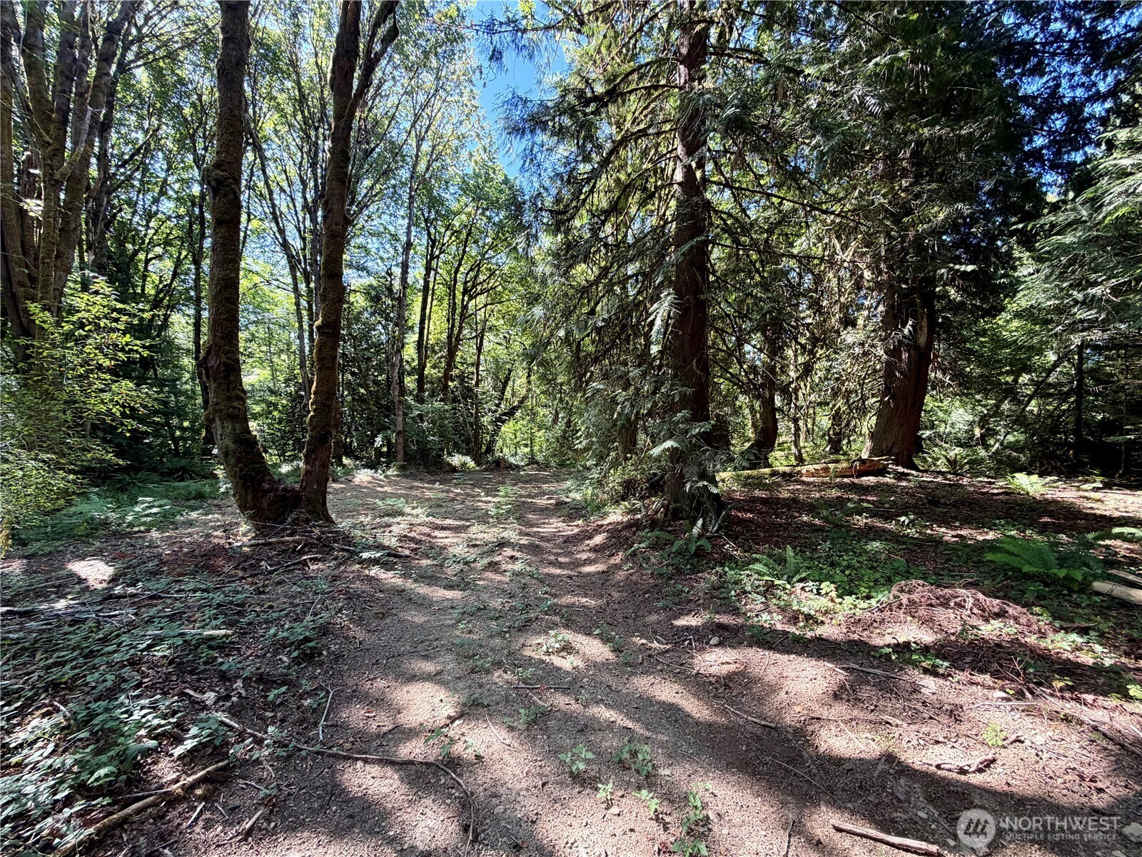 0 Lot 2 E Emily Lane Property Photo 5