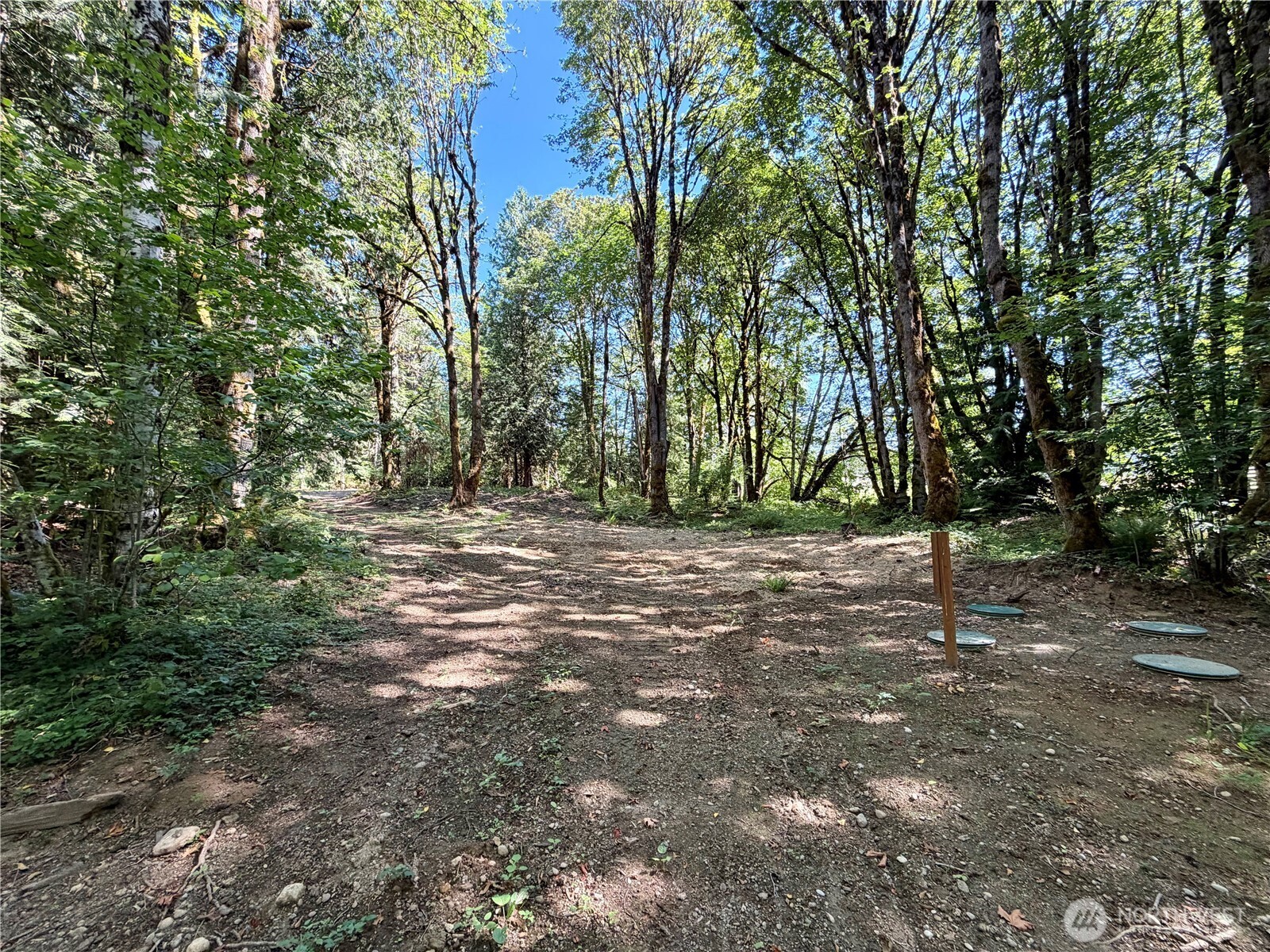 0 Lot 2 E Emily Lane Property Photo 6