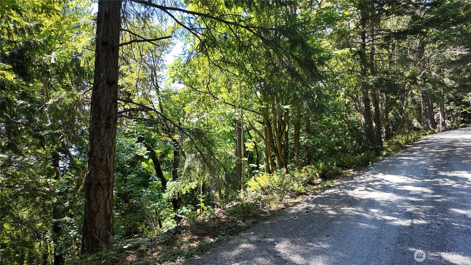 0 Oyster Creek Lane Property Photo 16