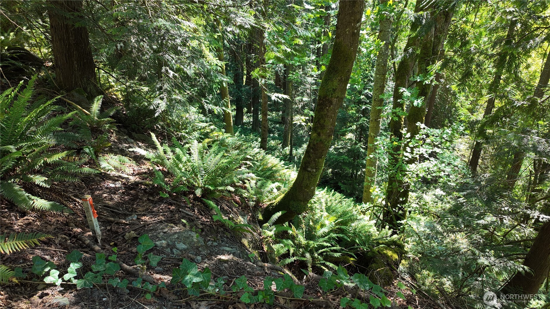 0 Oyster Creek Lane Property Photo 18