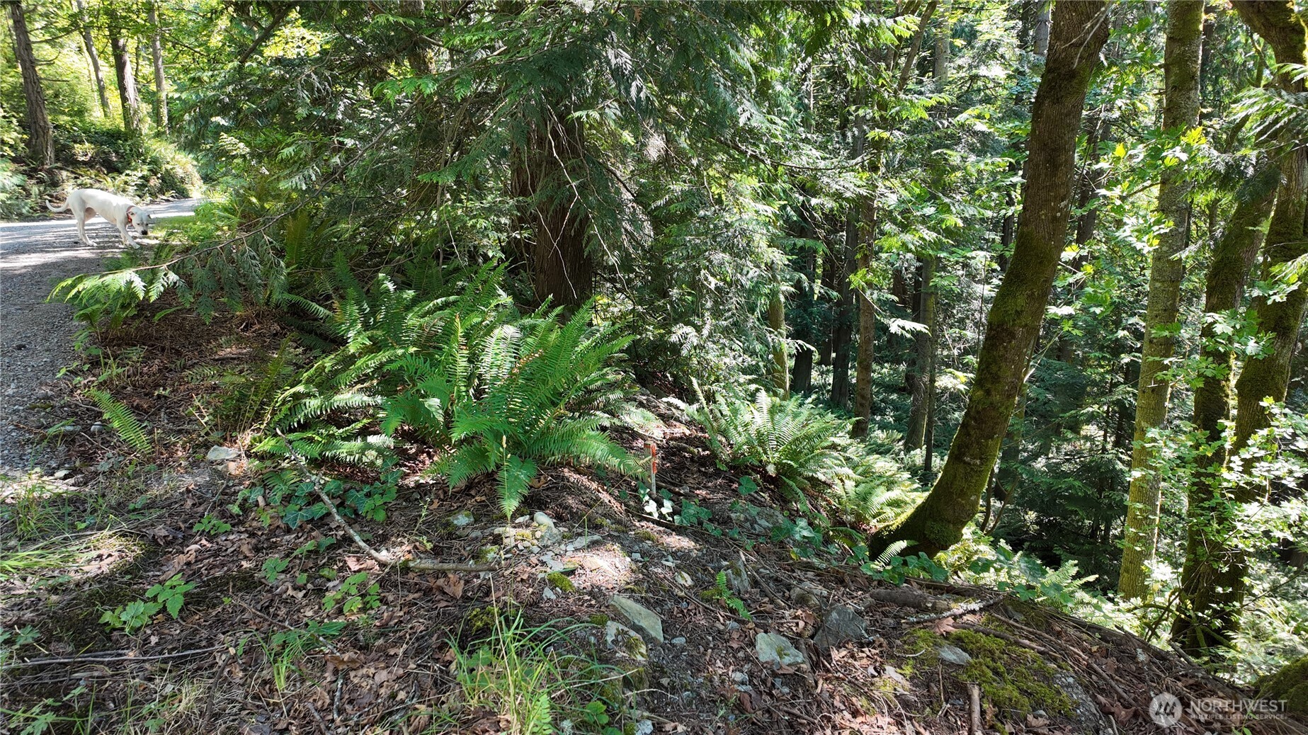 0 Oyster Creek Lane Property Photo 19