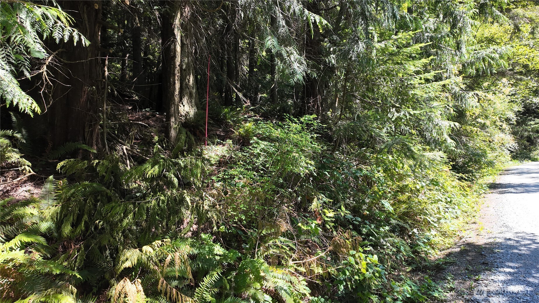 0 Oyster Creek Lane Property Photo 25