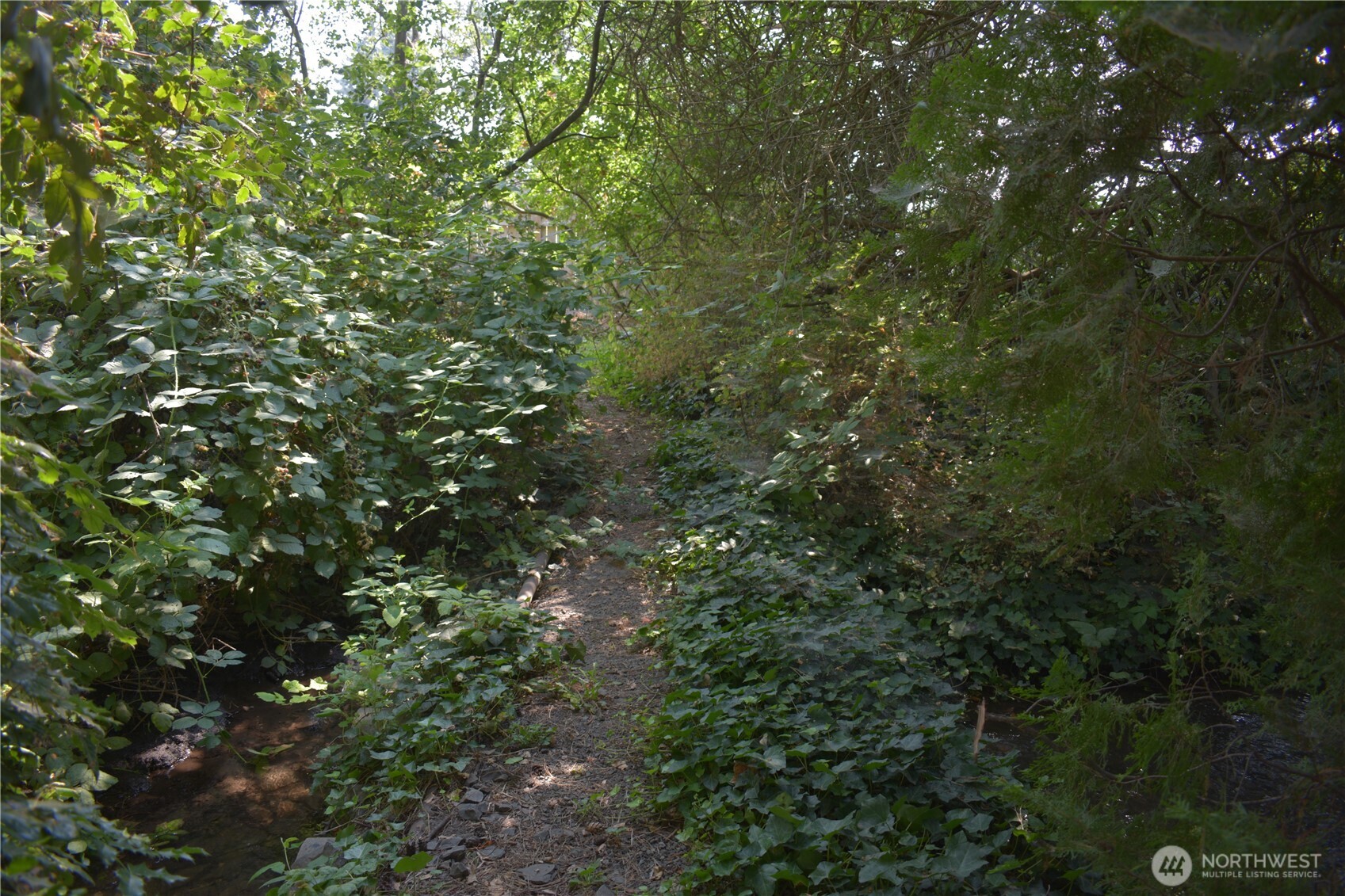 115 Chateau Lane Property Photo 34