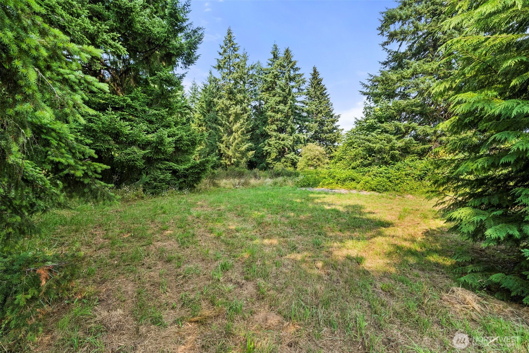 1238 101st Avenue Property Photo 34