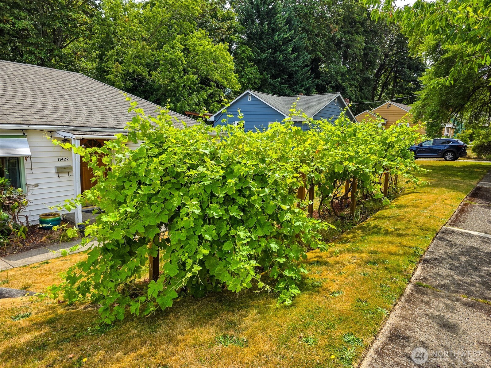 11422 71st Place Property Photo 3