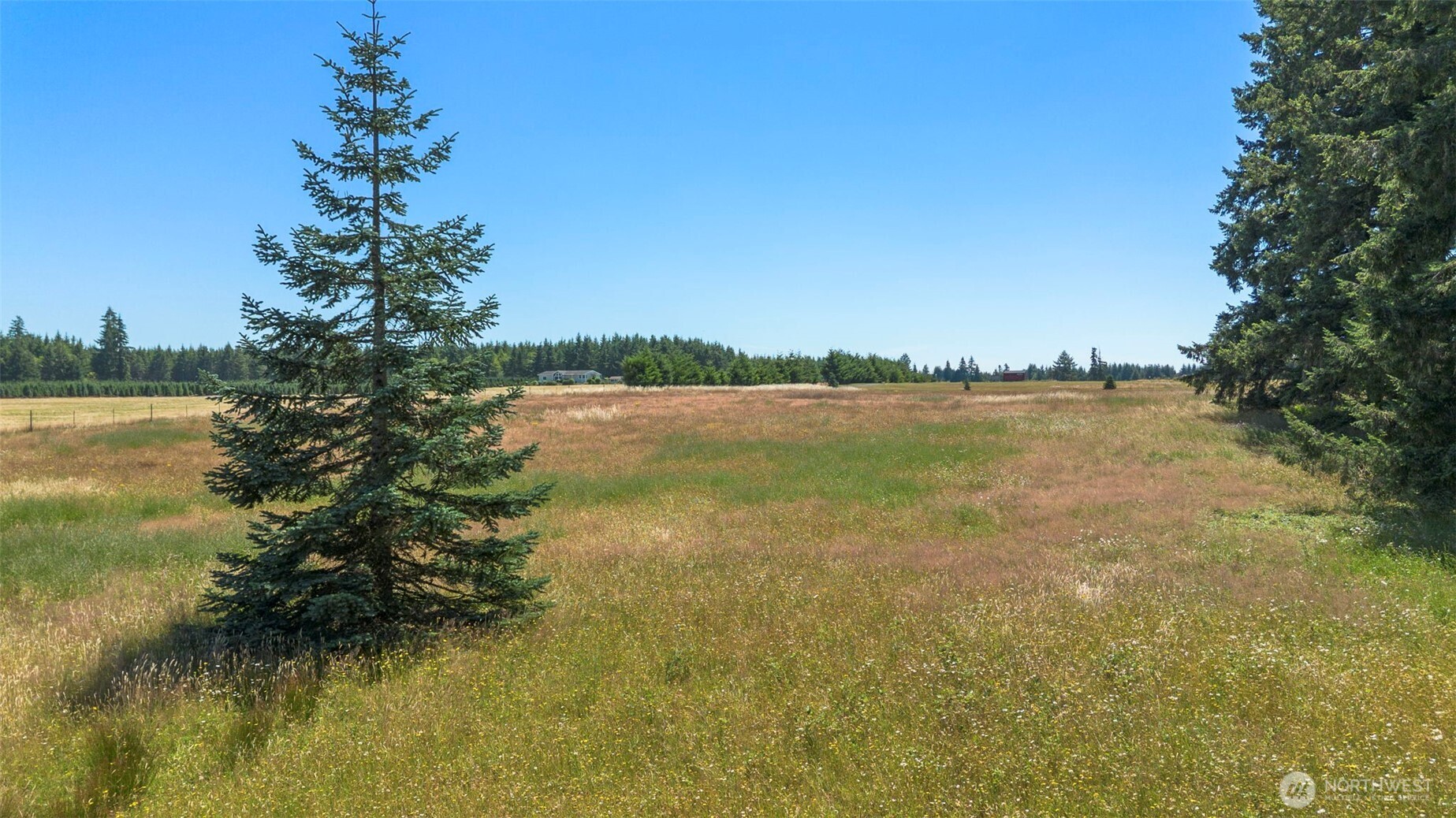 177 Nelson Road Property Photo 12