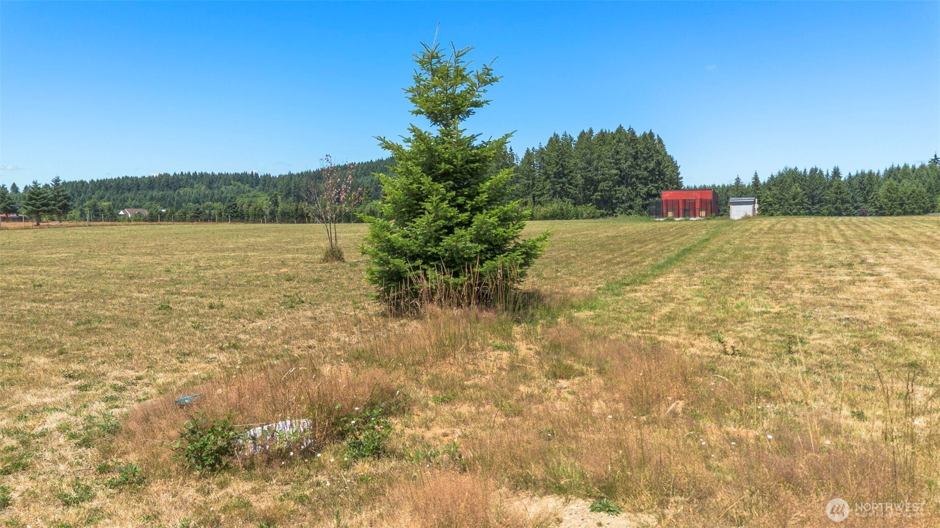 177 Nelson Road Property Photo 14