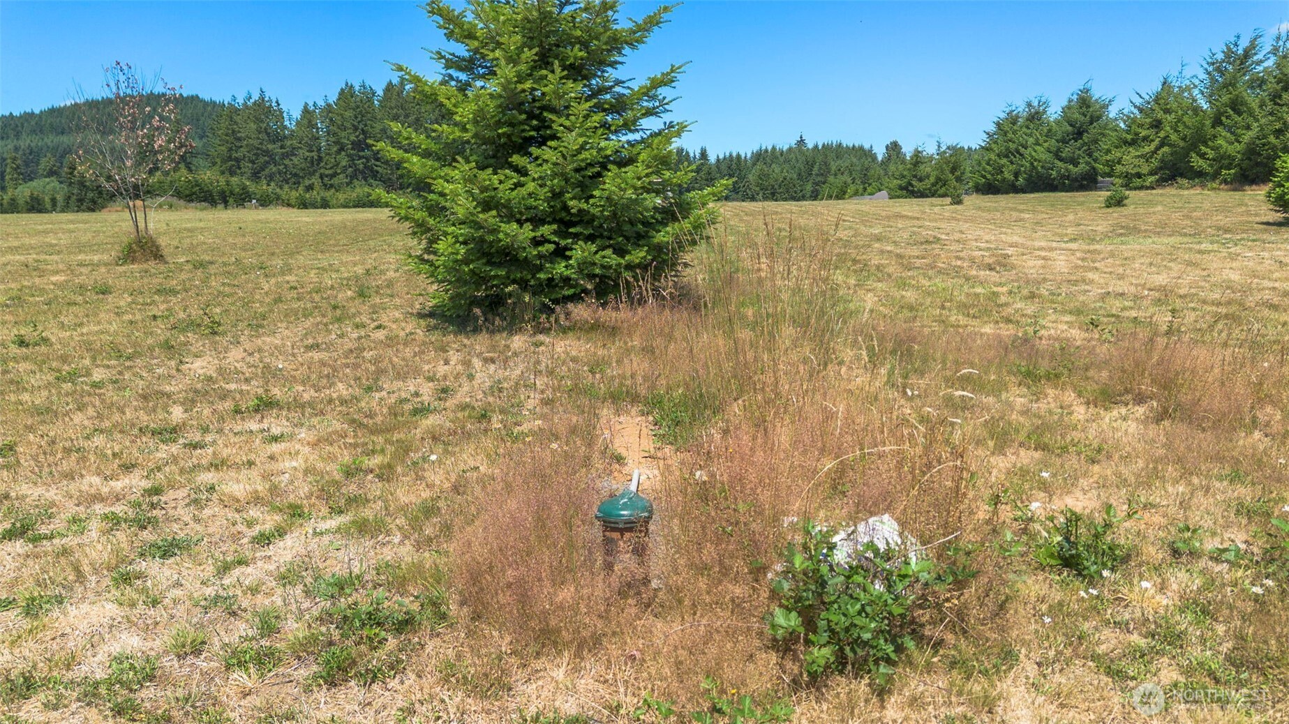 177 Nelson Road Property Photo 15