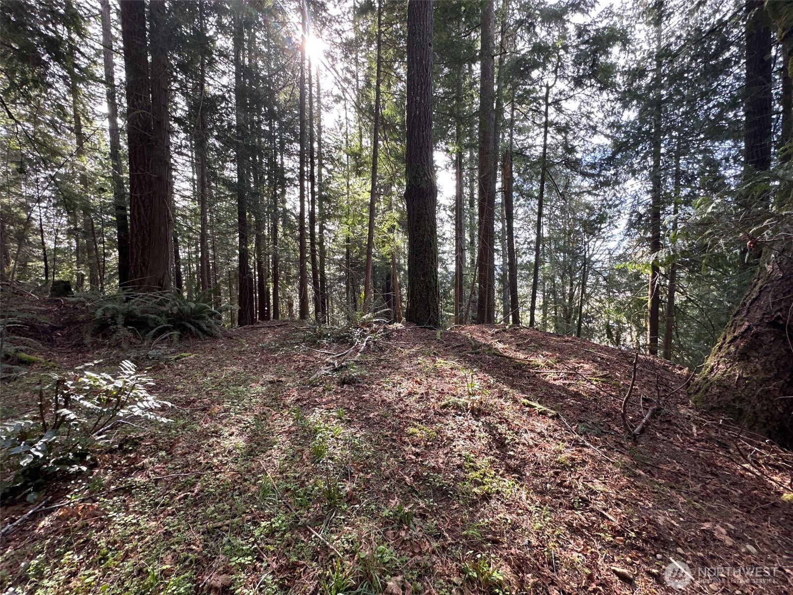 3692 E State Route 106 Property Photo 25