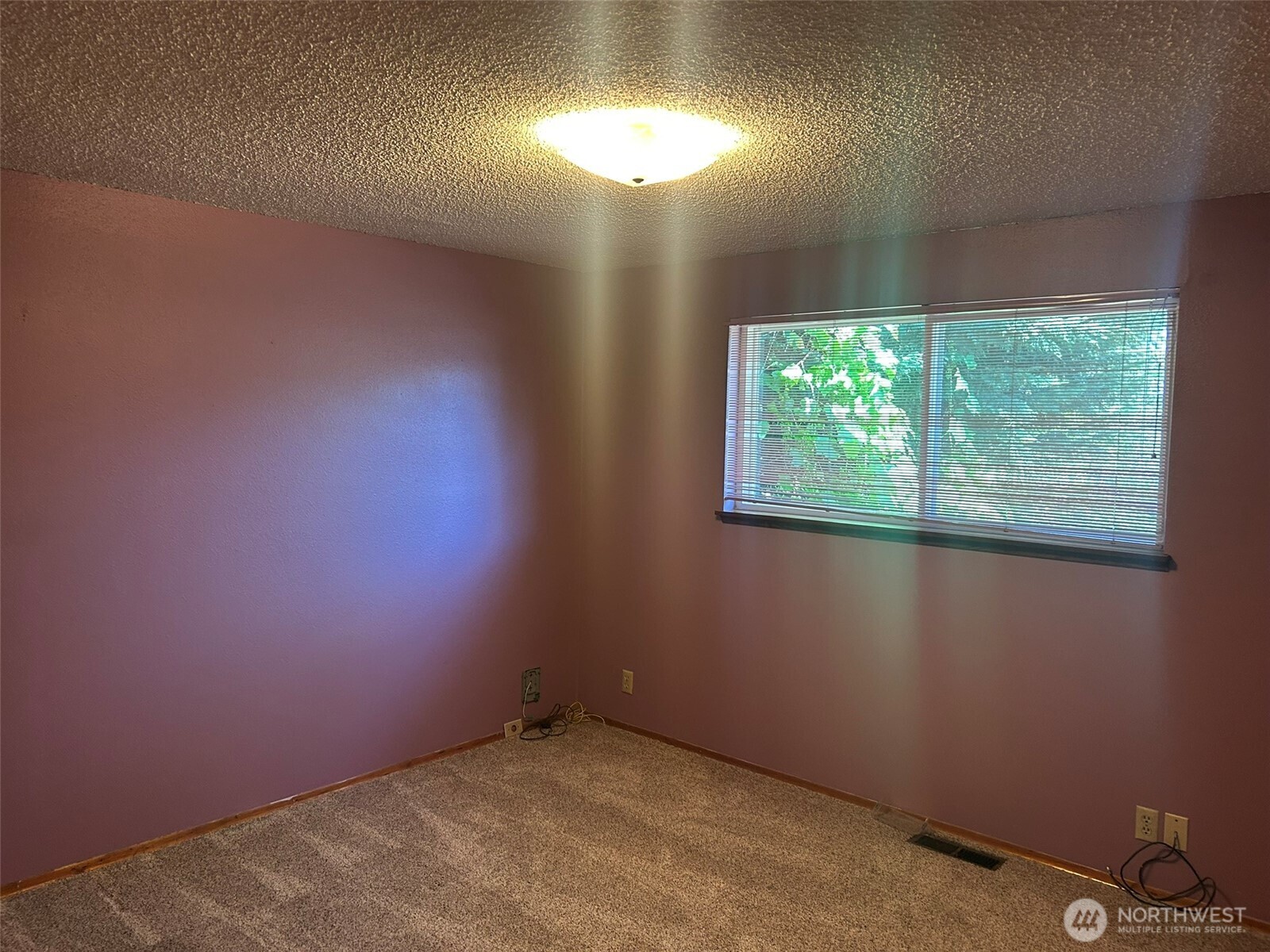 14428 31st Avenue Property Photo 14