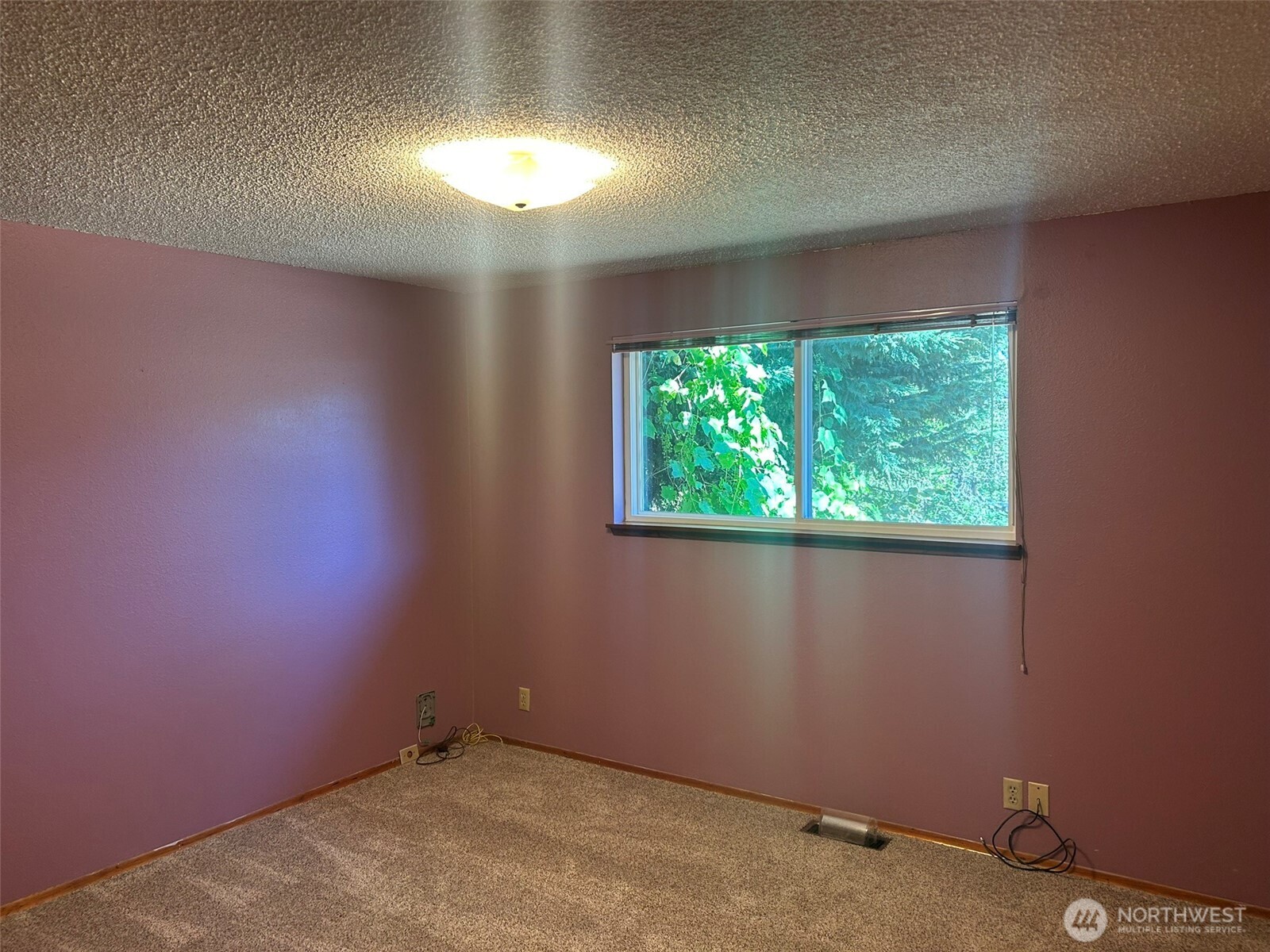 14428 31st Avenue Property Photo 17