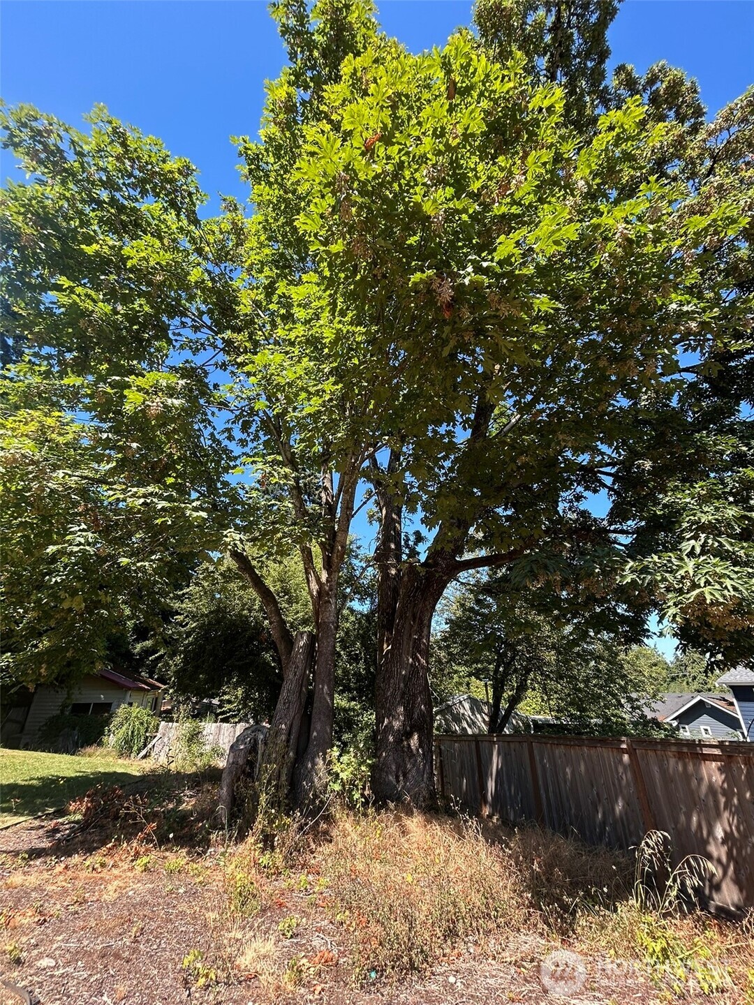 14428 31st Avenue Property Photo 33