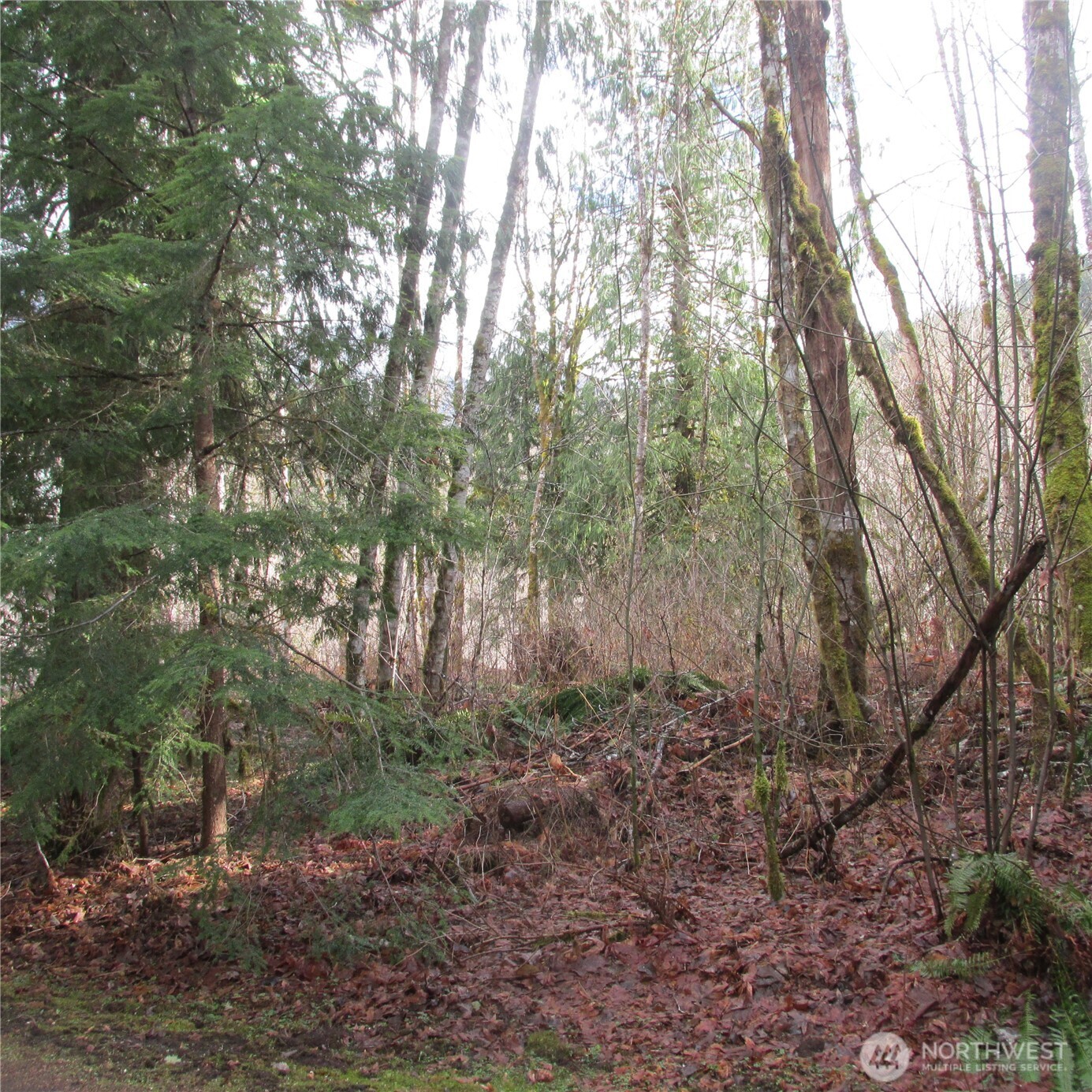 10337 Glacier Rim Drive Property Photo 3
