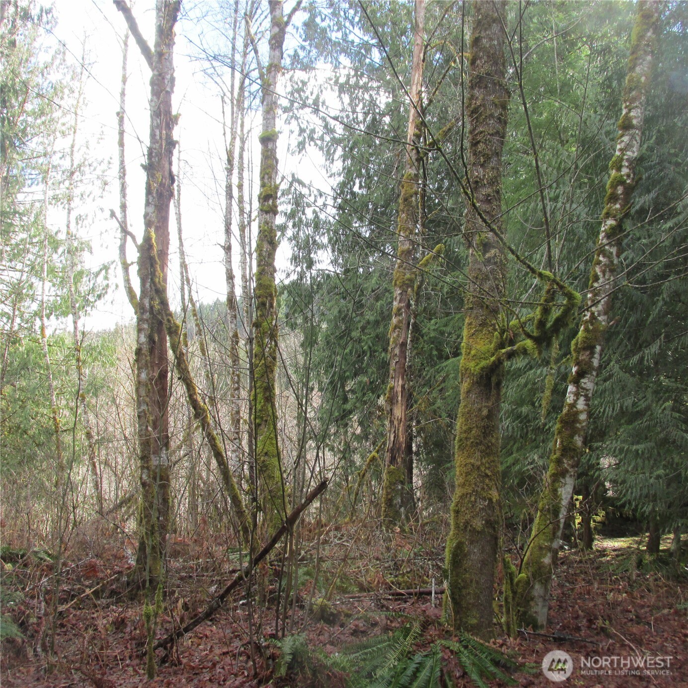 10337 Glacier Rim Drive Property Photo 4