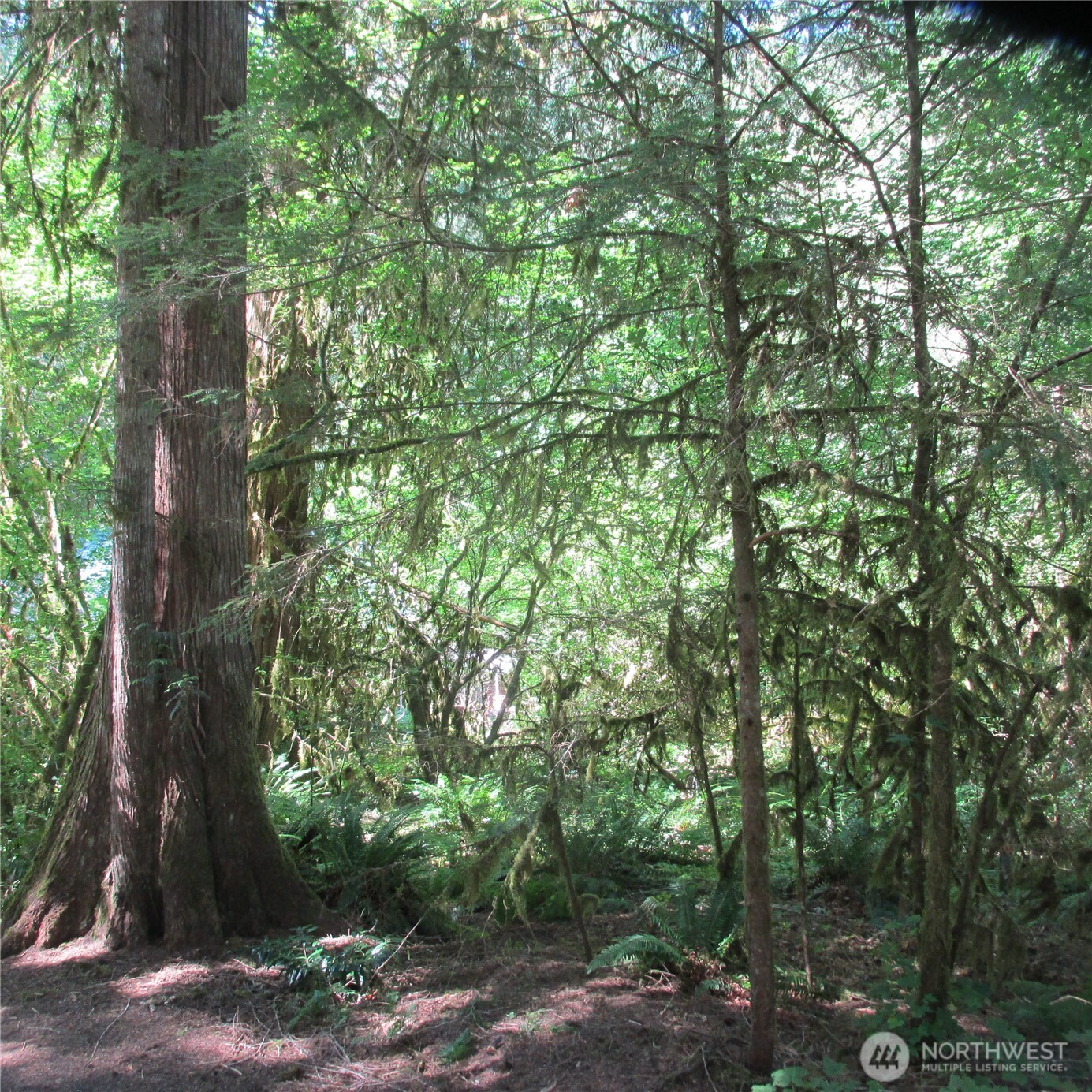 10337 Glacier Rim Drive Property Photo 5