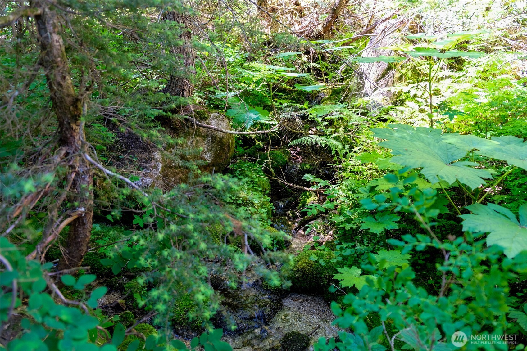 34115 Stevens Road Property Photo 6