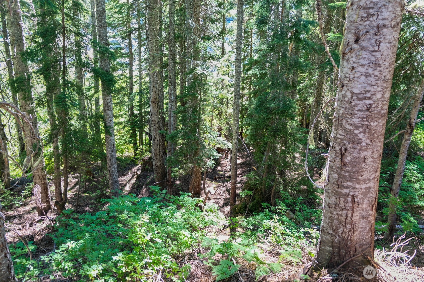 34383 S Nason Road Property Photo 8