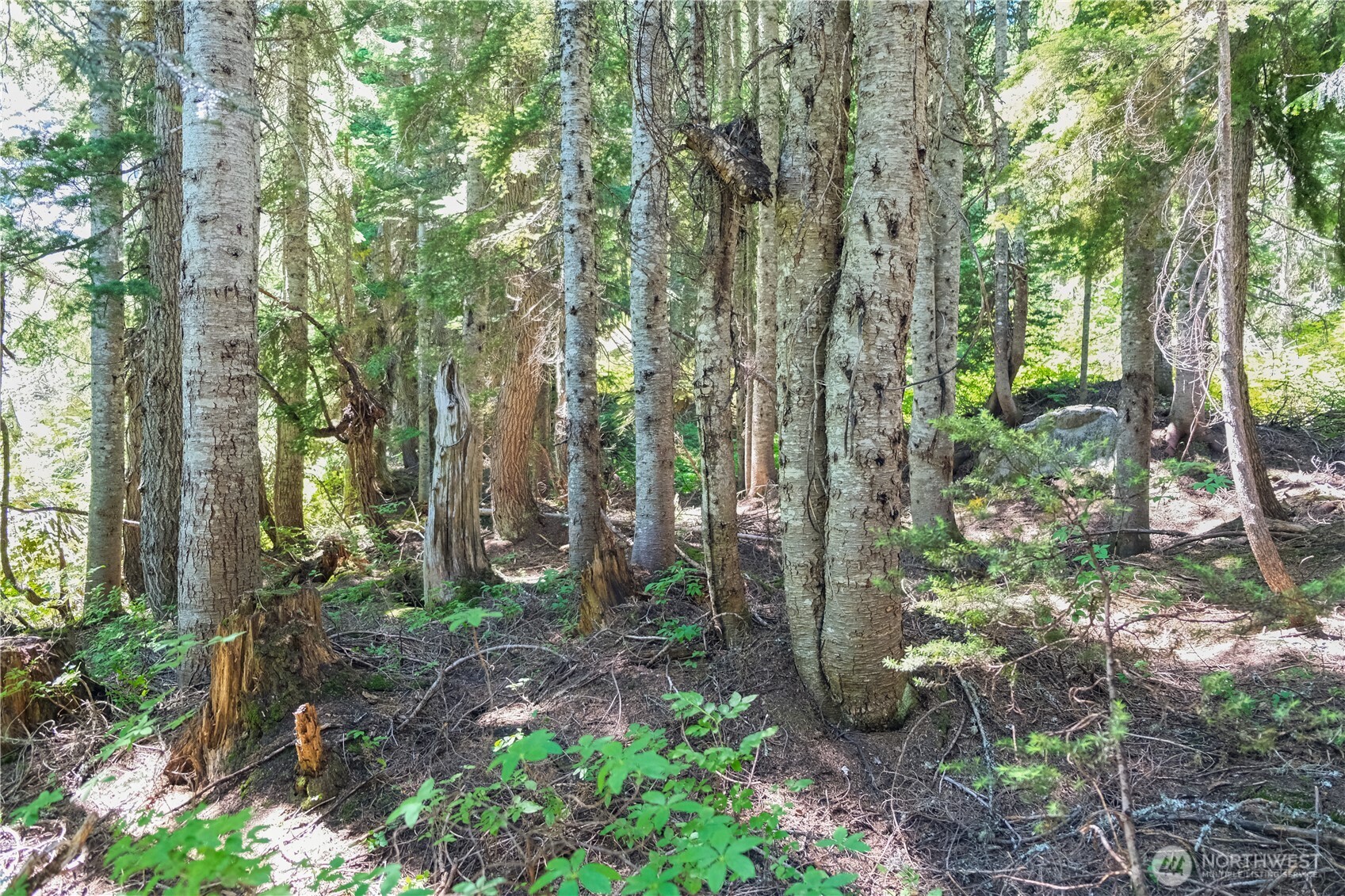 34383 S Nason Road Property Photo 9