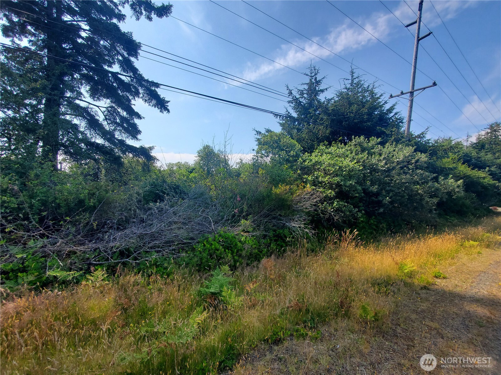 561 Dolphin Avenue Property Photo 6