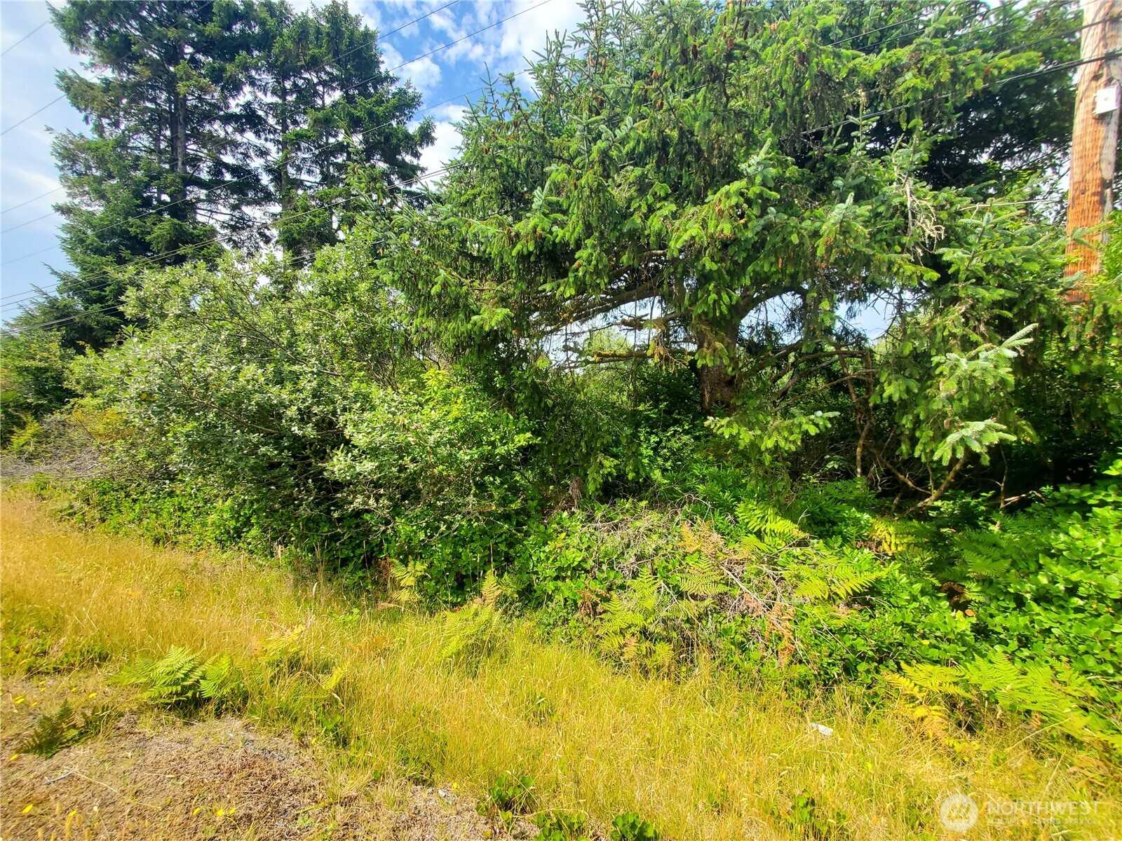561 Dolphin Avenue Property Photo 7