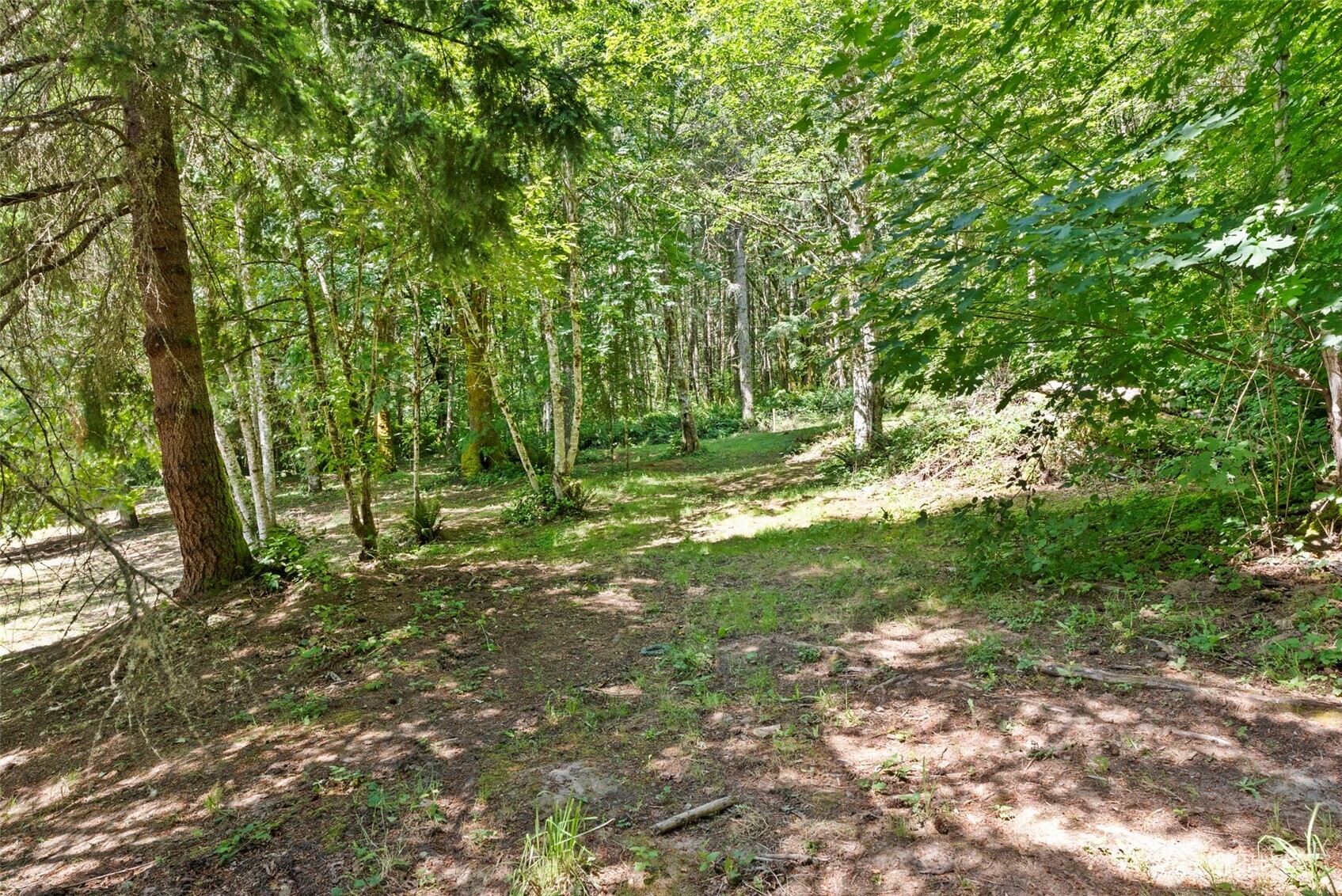 168 Crego Ridge Road Property Photo 33