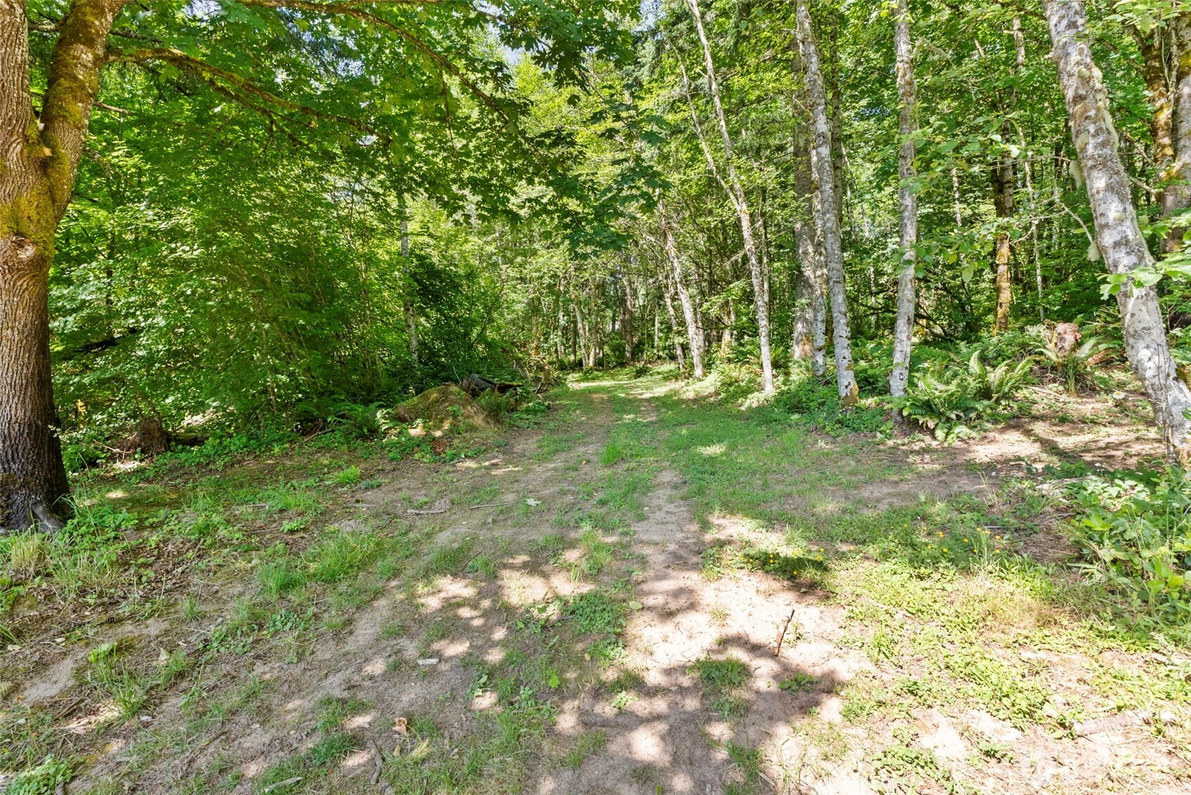 168 Crego Ridge Road Property Photo 34