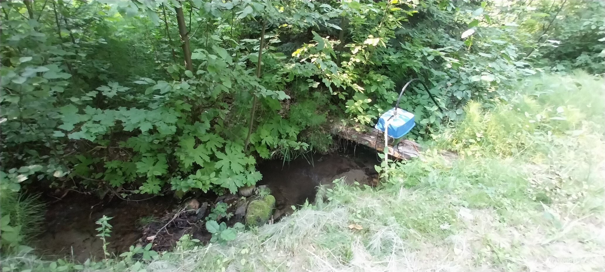 16745 Second Creek Rd Property Photo 5