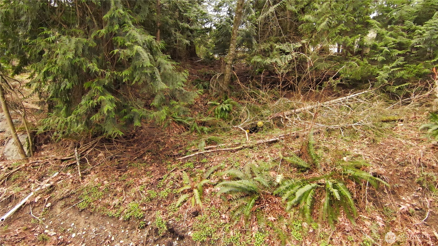0 Summerset Property Photo 10