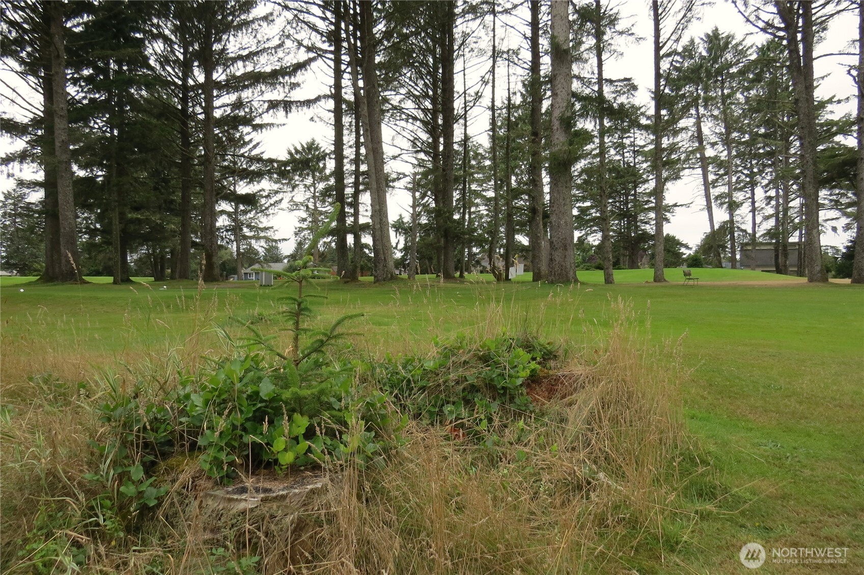 237 Dolphin Avenue Property Photo 27
