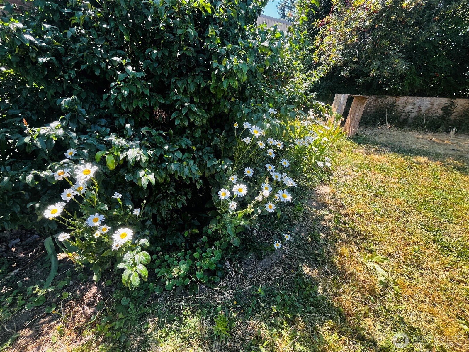 714 E Tietan Property Photo 18