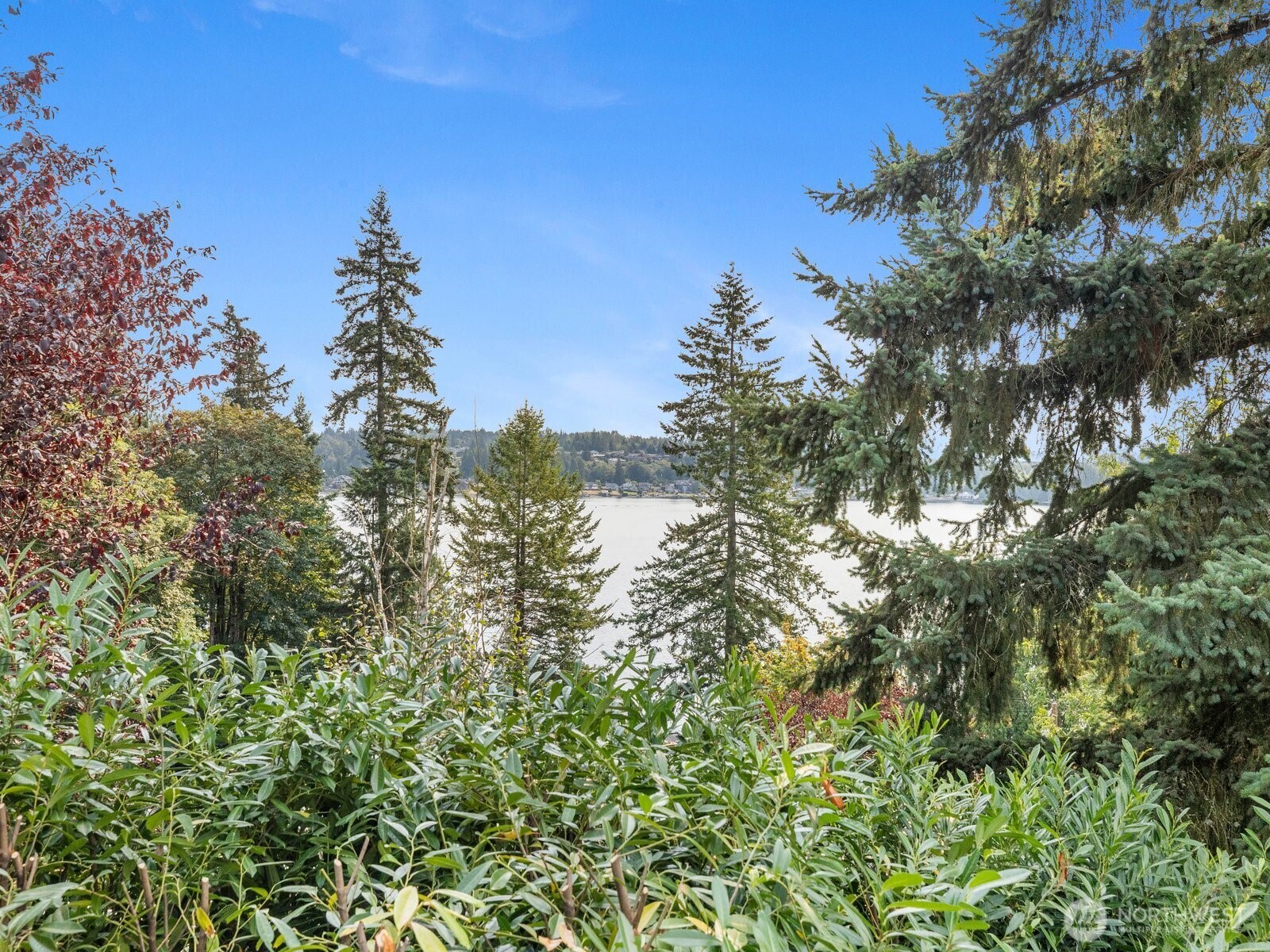 10830 Lake View Drive Property Photo 5